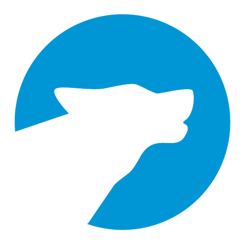 bleiz.mx logo