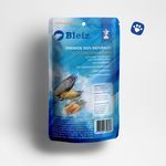 Bolsa de Mejillones