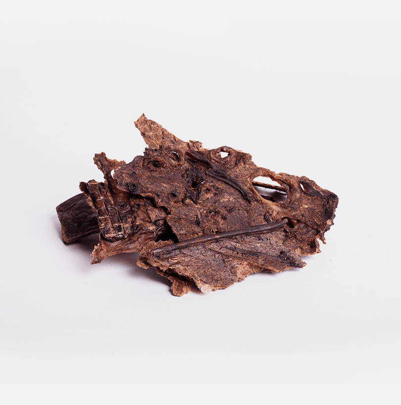 Bleiz | Premios Naturales para Perros | Pulmón de Búfalo Libre Pastoreo | 100g | Sin Conservadores ni Químicos - Bleiz